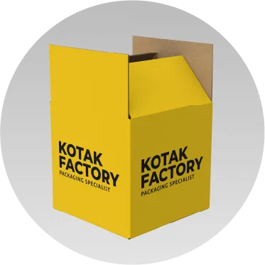 Carton Box